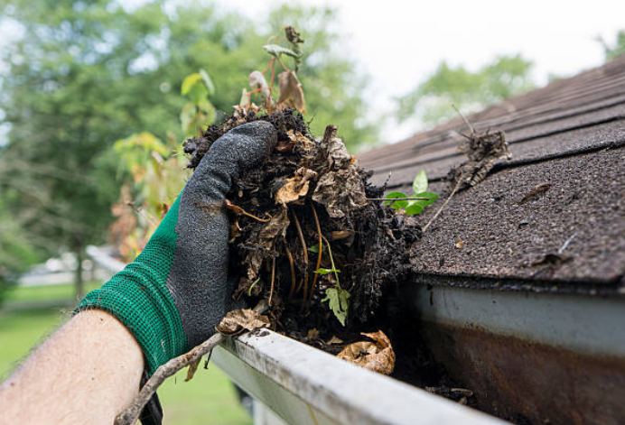 Gutter Cleaning