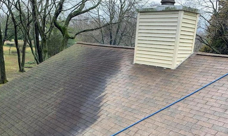 Soft Wash Roof Cleaning